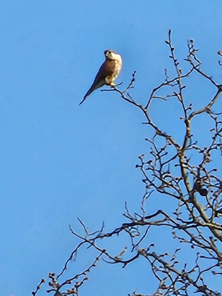 Silence obligé et patience de&nbsp;rigueur