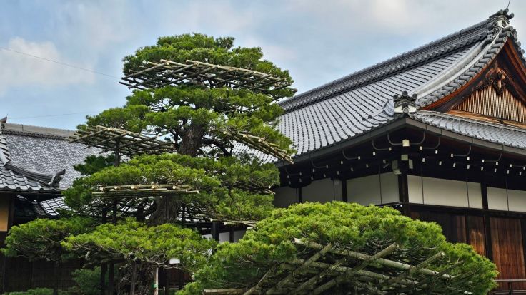 Pas de voyage au Japon sans une confrontation puissante avec la&nbsp;nature.