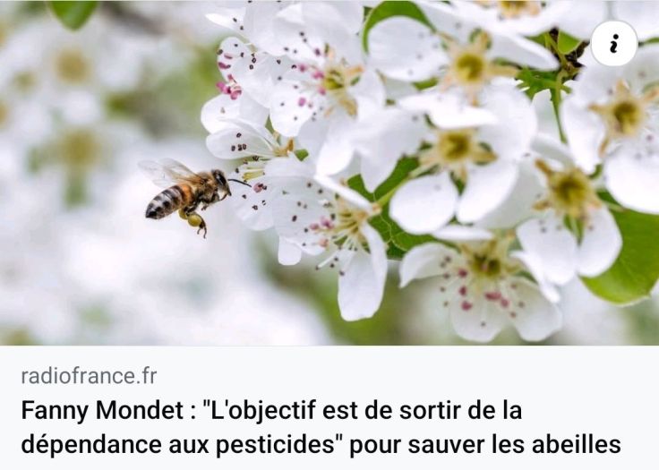 &laquo;&nbsp;Rachel Carson est l&rsquo;anti-Trump&nbsp;&raquo;