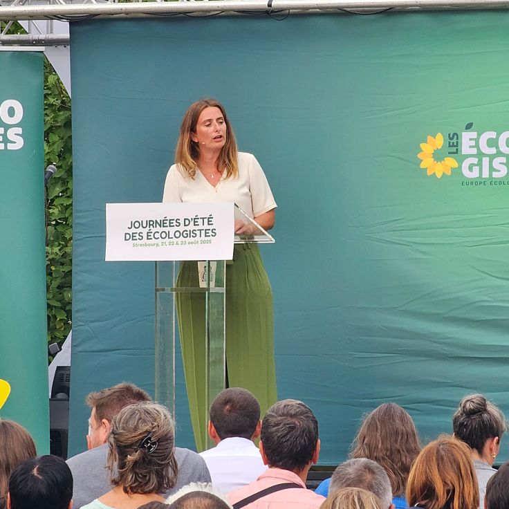 Quand Strasbourg se met aux&nbsp;Verts